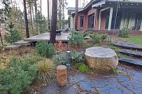 Сосновая аллея - мини - 11