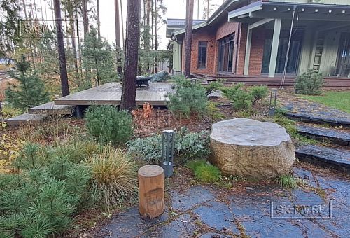 Сосновая аллея - 11