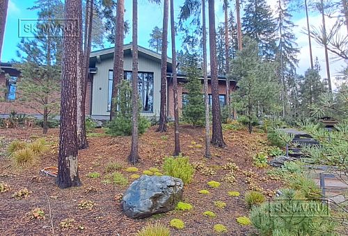 Сосновая аллея - 31