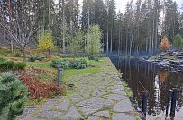 Сосновая аллея - мини - 34