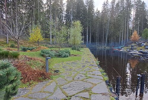 Сосновая аллея - 34