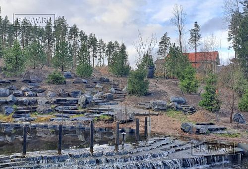 Сосновая аллея - 26