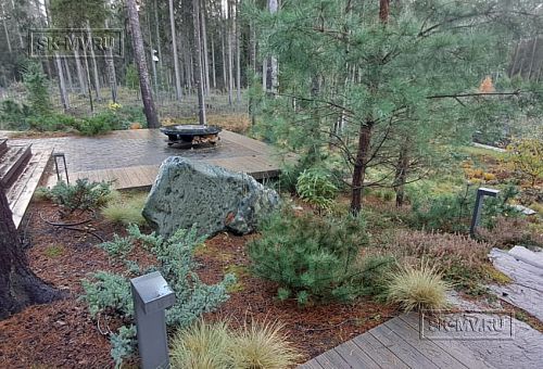 Сосновая аллея - 6