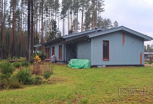 Рощино 2.32 - 11