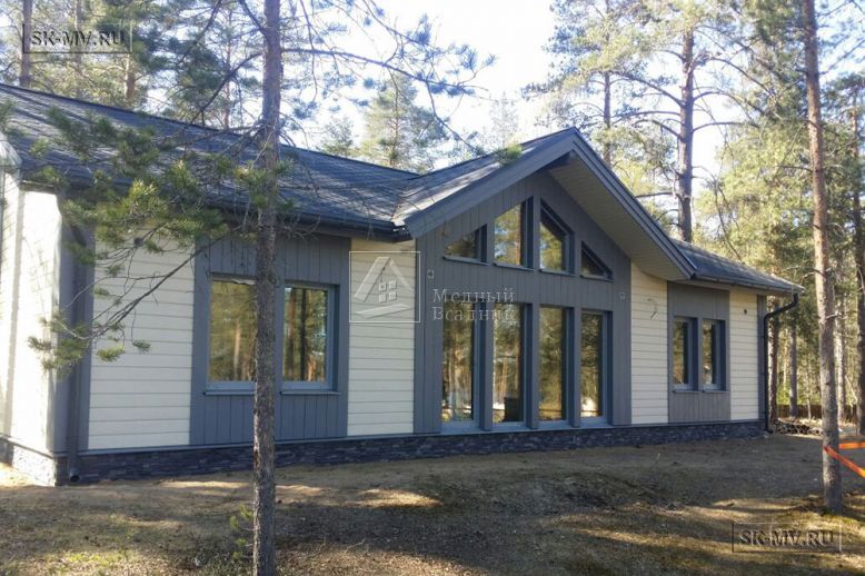 Проект современного одноэтажного дома в скандинавском стиле Волшебное озеро — 1