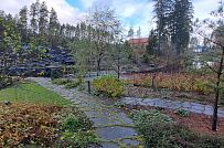 Сосновая аллея - мини - 2