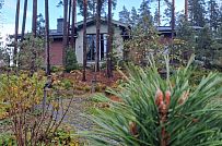 Сосновая аллея - мини - 35