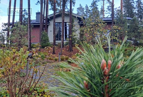 Сосновая аллея - 35