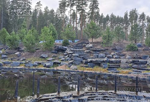 Сосновая аллея - 28