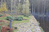 Сосновая аллея - мини - 27