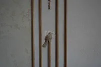 Сосновая аллея - мини - 21