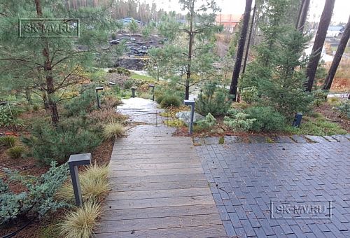 Сосновая аллея - 4