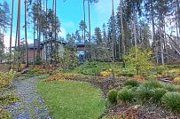 Сосновая аллея - мини - 33