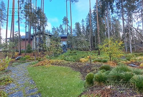 Сосновая аллея - 33