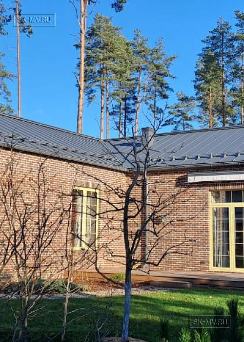 Репино (Фламандия)