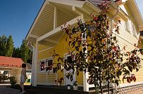 Небольшой построенный каркасный дом 152 кв м с эркером и террасой с фасадом из желтой вагонки Галактика 12 - мини - 5