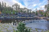 Сосновая аллея - мини - 3