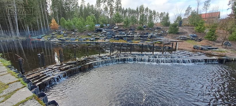 Сосновая аллея - 30