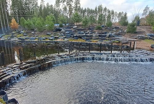 Сосновая аллея - 30