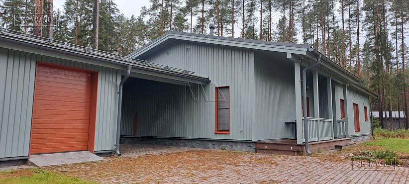 Рощино 2.32 - 17