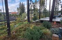 Сосновая аллея - мини - 24