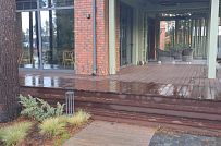 Сосновая аллея - мини - 5