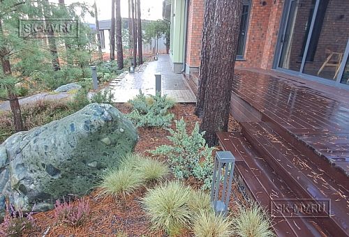 Сосновая аллея - 21